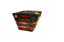 PXB2419 Salute 54st 0,8