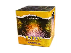 TXB174 Lily Magnolia