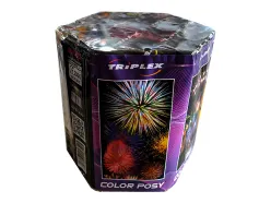 TXB649 Color Posy 19 st.