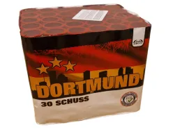 5494 Dortmund 30st 25mm