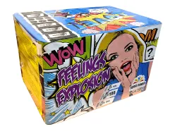 B100-2005 FEELINGS EXPLOSION