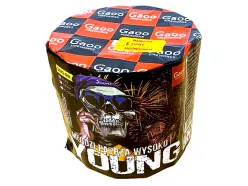 SS13-04I Young 13st 25mm