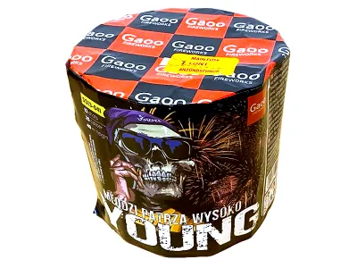 SS13-04I Young 13st 25mm