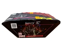 XB2003 Color Dahlia Comet to Sizzling Willow