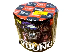 SS13-04I Young 13st 25mm