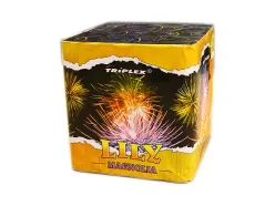 TXB174 Lily Magnolia