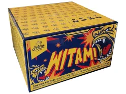 IC30-100-3 Witam ! 100 st.