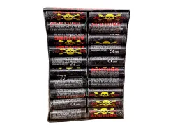 H2-GTR Achtung 2g GTR