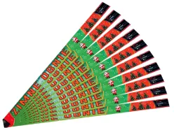 PXG110-10 Zimne Ognie 70cm - 60 sztuk