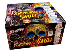 B73-2501 Psychodelic Skull