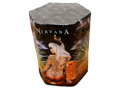 TXB562 Nirvana  19st. 1.2