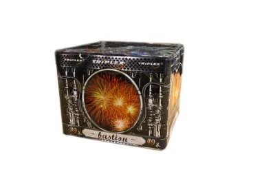 TXB020 Bastion 49st. 1