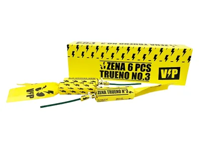 6731 Zena Trueno No.3