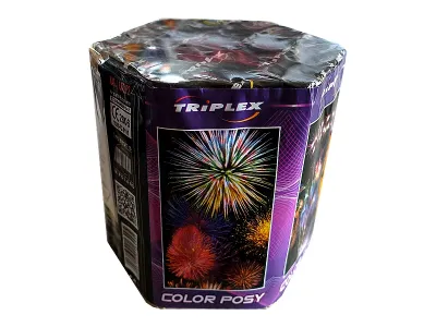 TXB649 Color Posy 19 st.