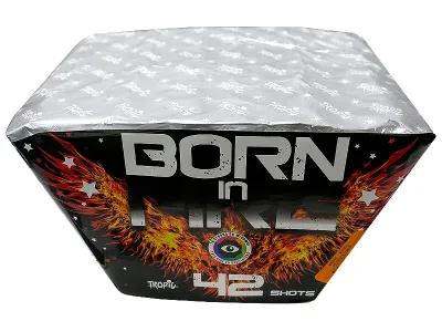 TW14 BORN IN FIRE
